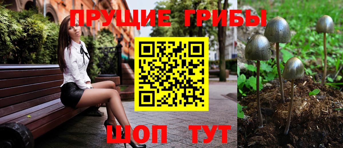 Галлюциногенные грибы Psilocybine cubensis  Вход с VPN  Воткинск 